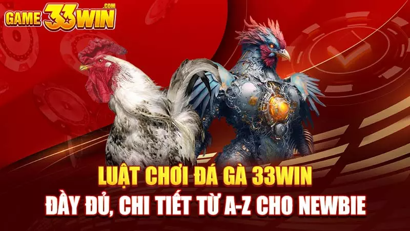 Tránh Đặt Nặng Áp Lực Thắng Thua và Quản Lý Tiền Vốn Thông Minh